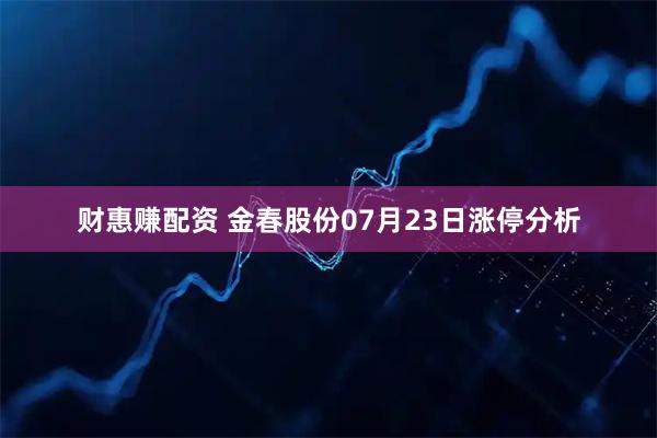 财惠赚配资 金春股份07月23日涨停分析