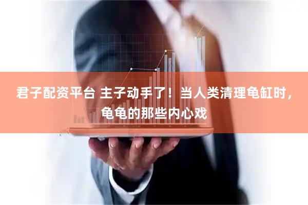 君子配资平台 主子动手了！当人类清理龟缸时，龟龟的那些内心戏