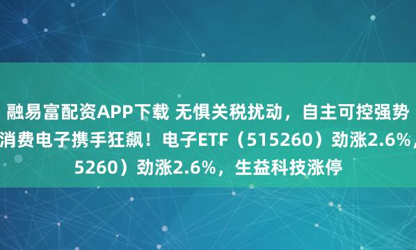 融易富配资APP下载 无惧关税扰动,自主可控强势上攻!半导体+消费电子携手狂飙!电子ETF(515260)劲涨2.6%,生益科技涨停