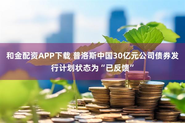 和金配资APP下载 普洛斯中国30亿元公司债券发行计划状态为“已反馈”
